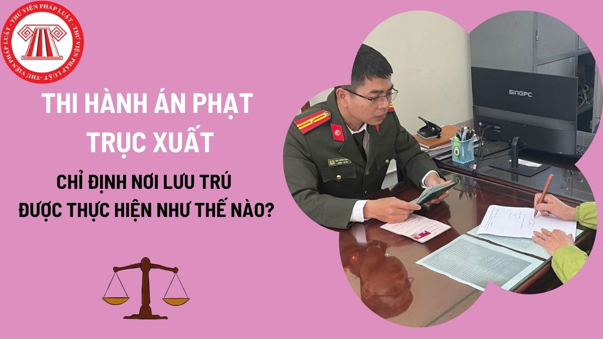 Pháp luật