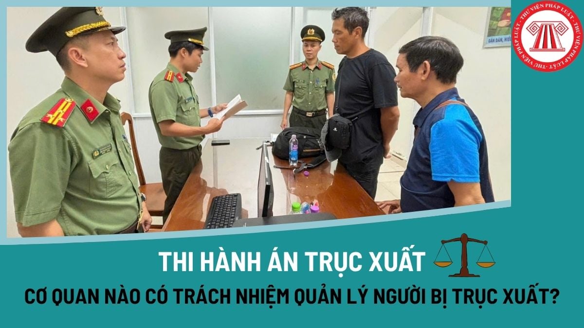 Pháp luật