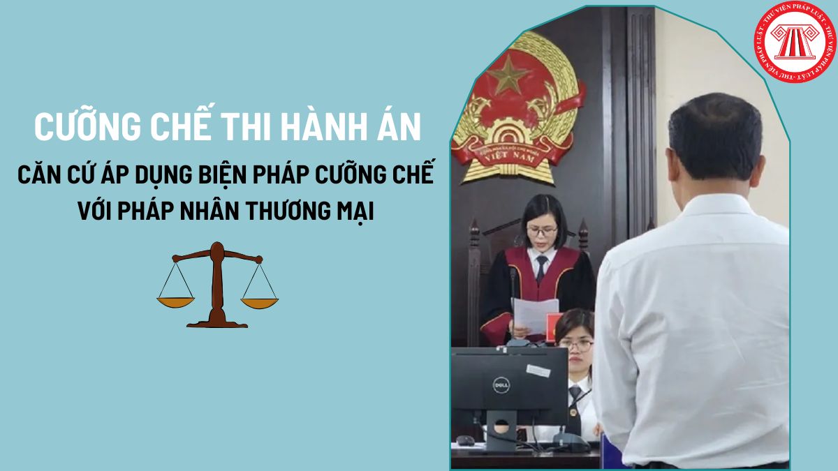 Pháp luật
