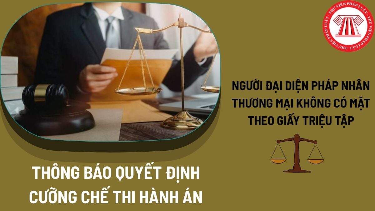 Pháp luật