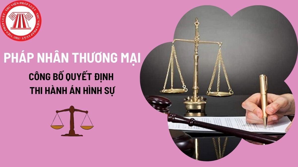 Pháp luật