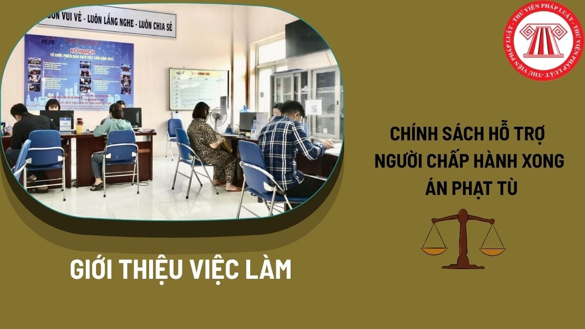 Pháp luật