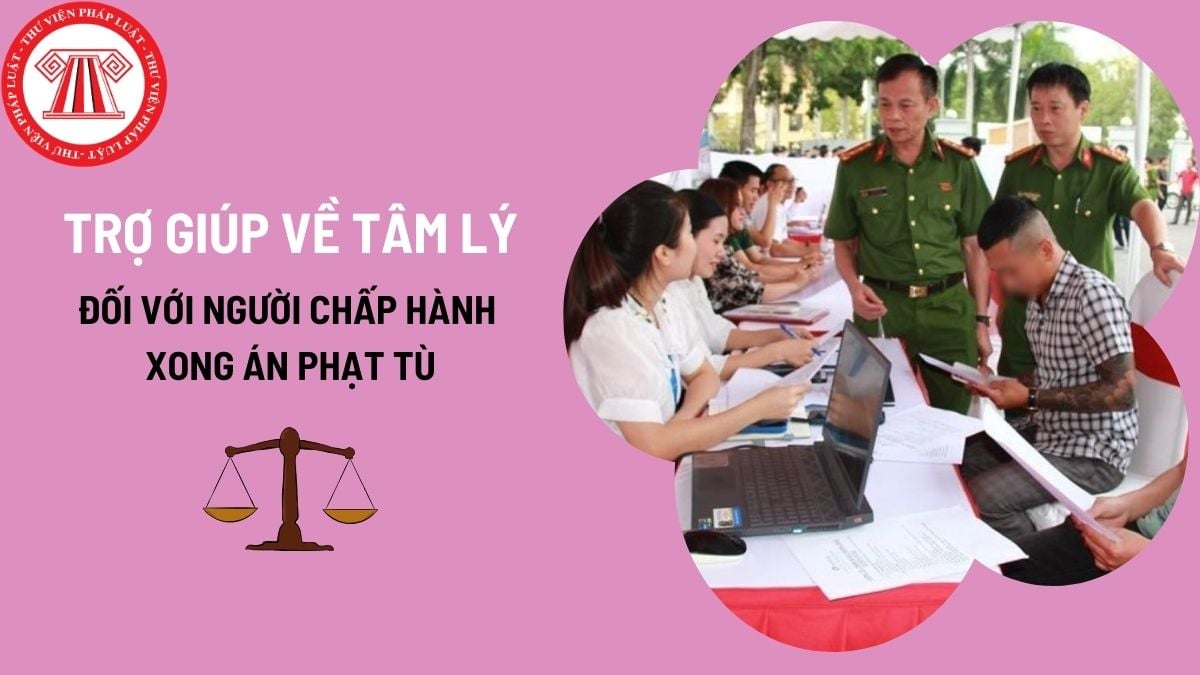 Pháp luật