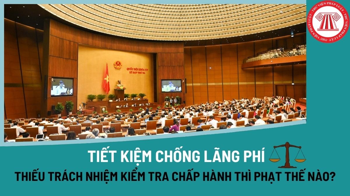 Pháp luật