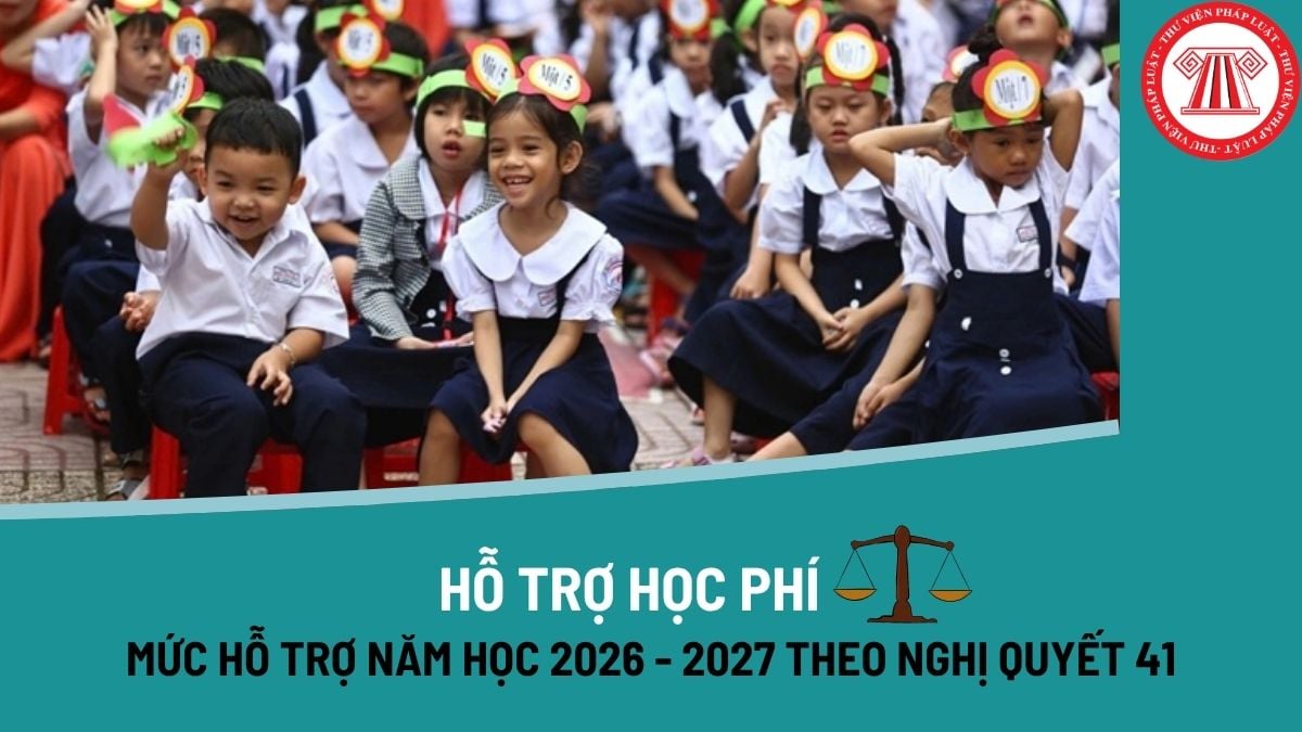 Pháp luật