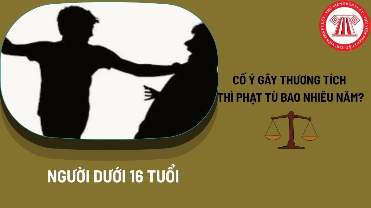Pháp luật