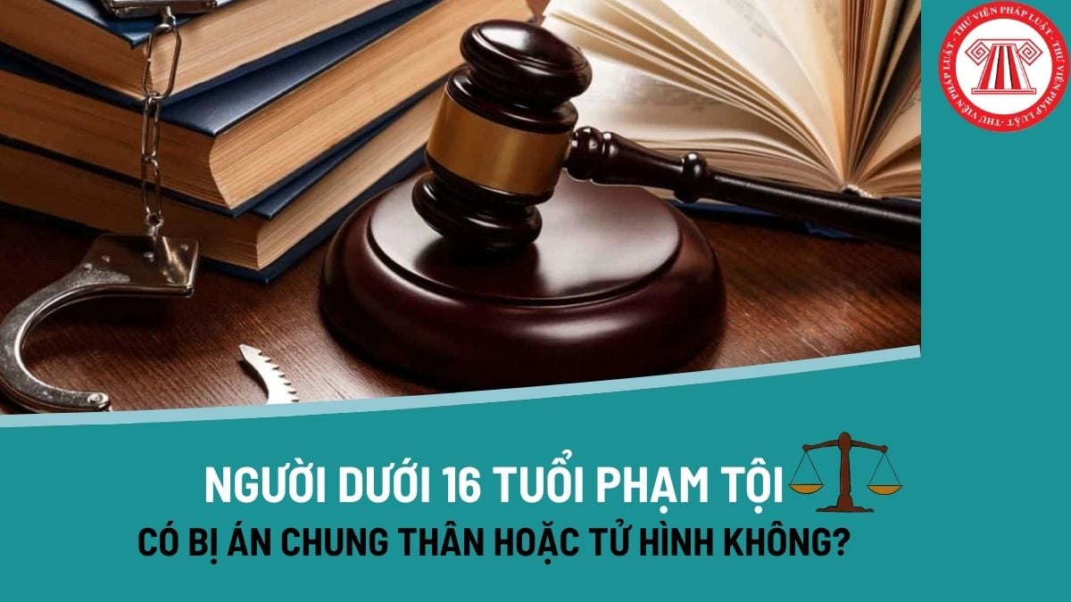 Pháp luật