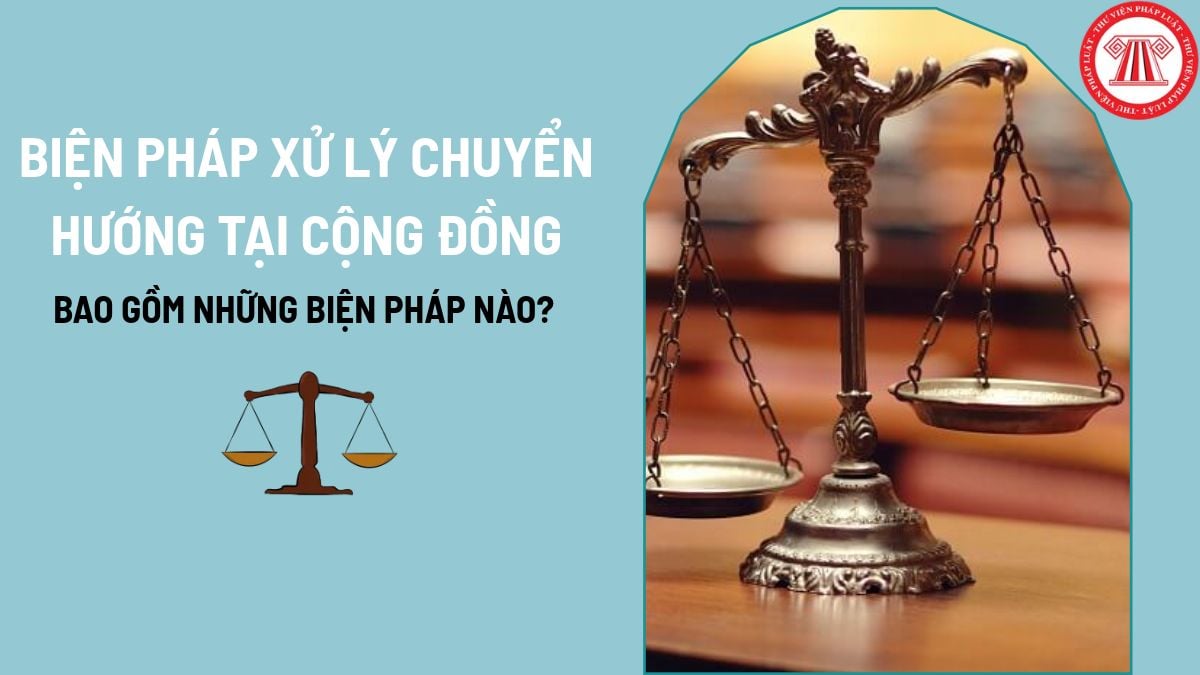 Pháp luật