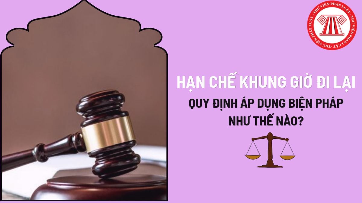 Pháp luật