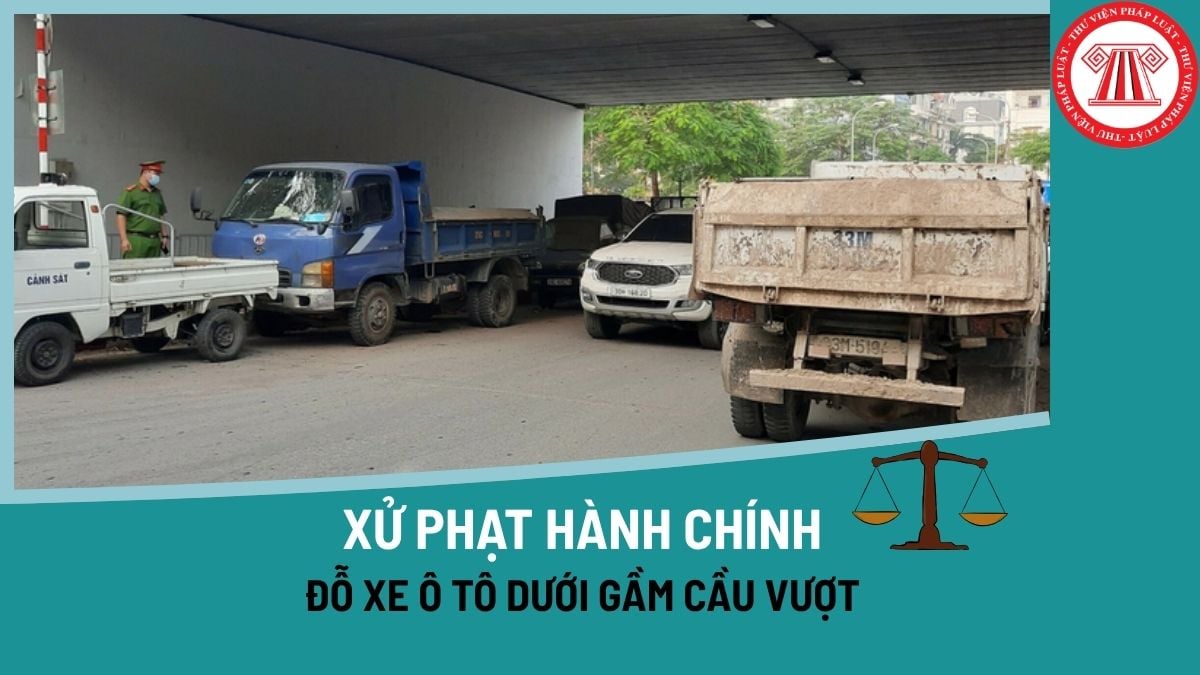 Pháp luật