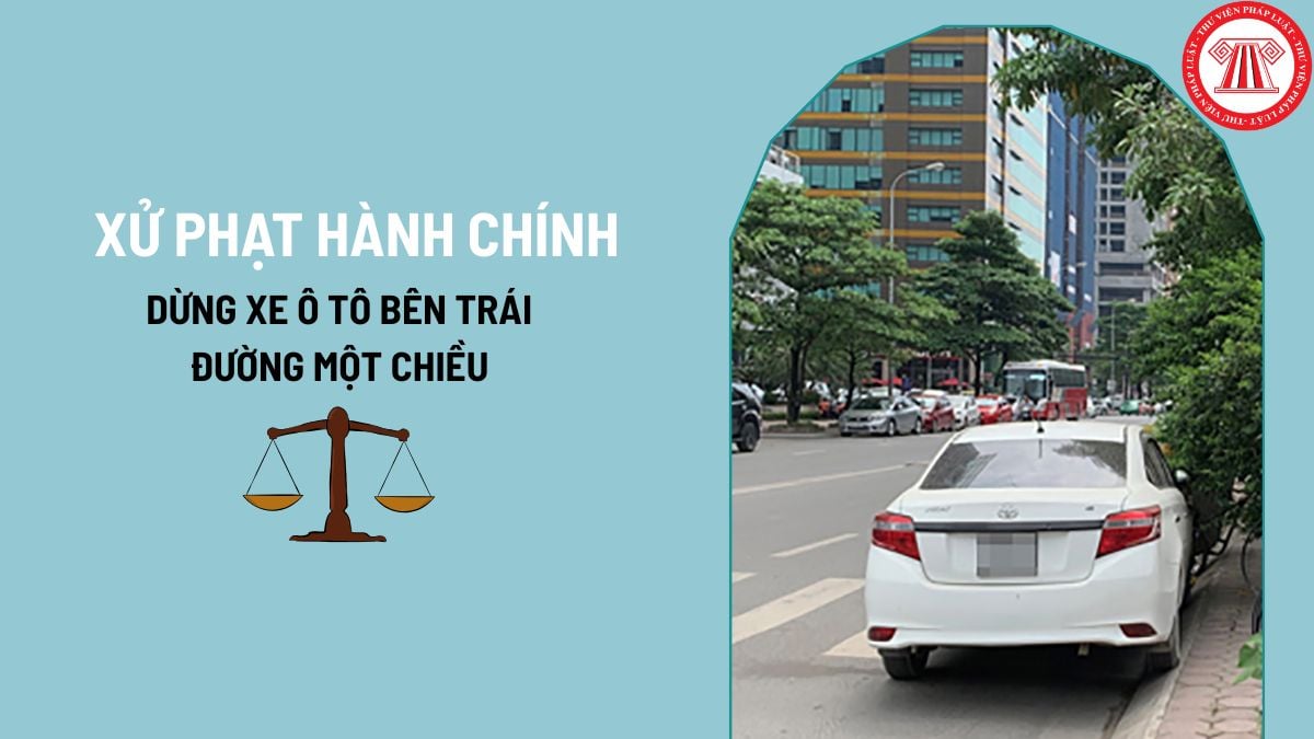 Pháp luật