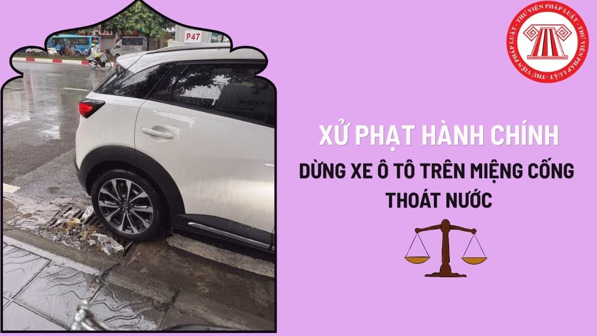 Pháp luật
