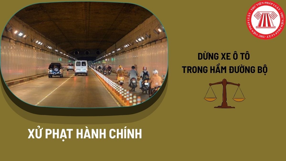Pháp luật