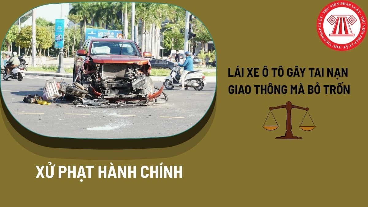 Pháp luật