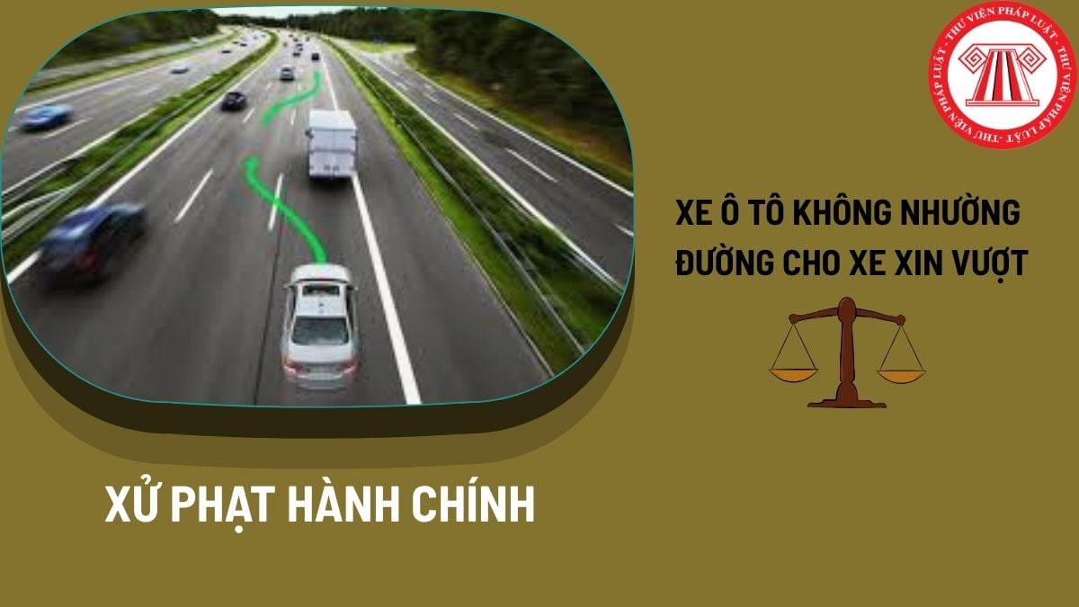 Pháp luật