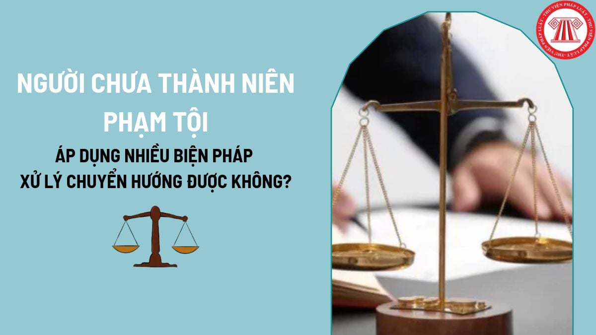 Pháp luật