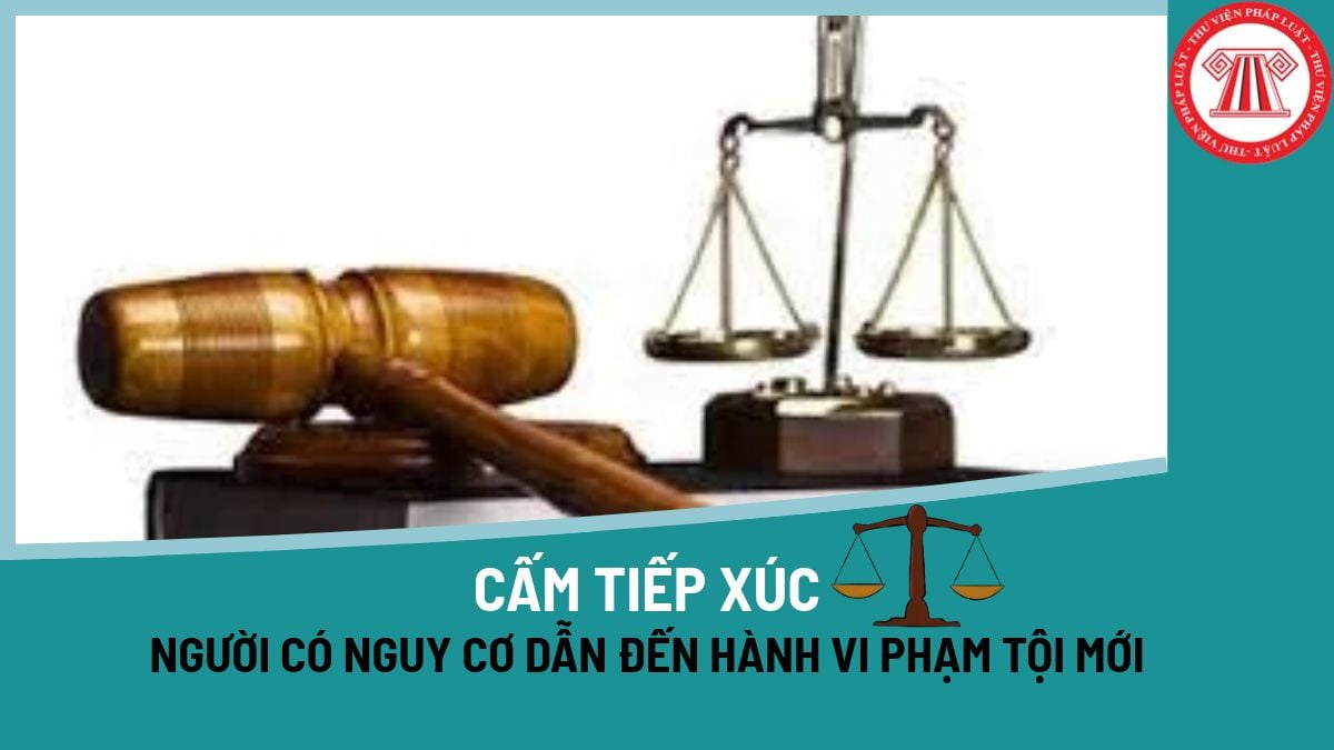Pháp luật