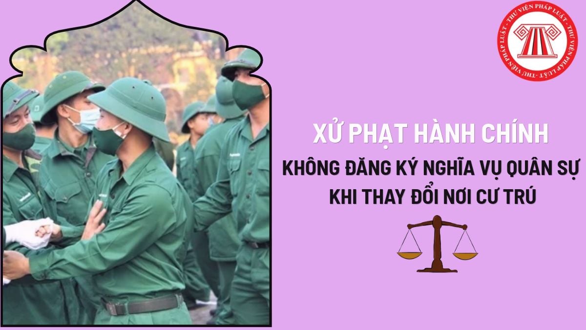 Pháp luật