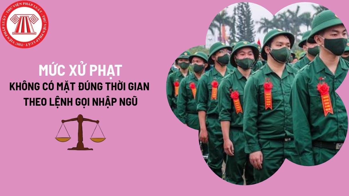 Pháp luật