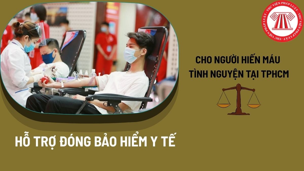 Pháp luật