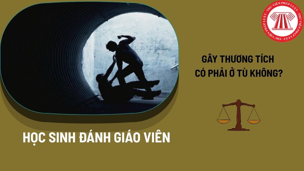 Pháp luật