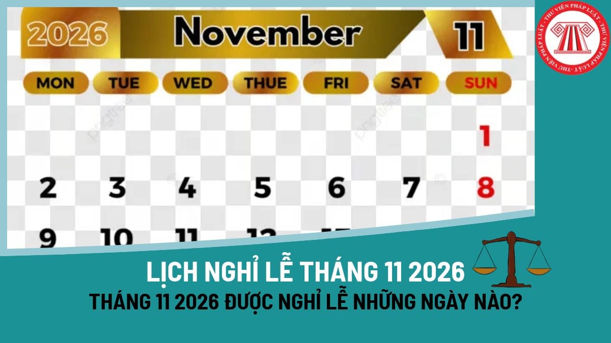 Pháp luật