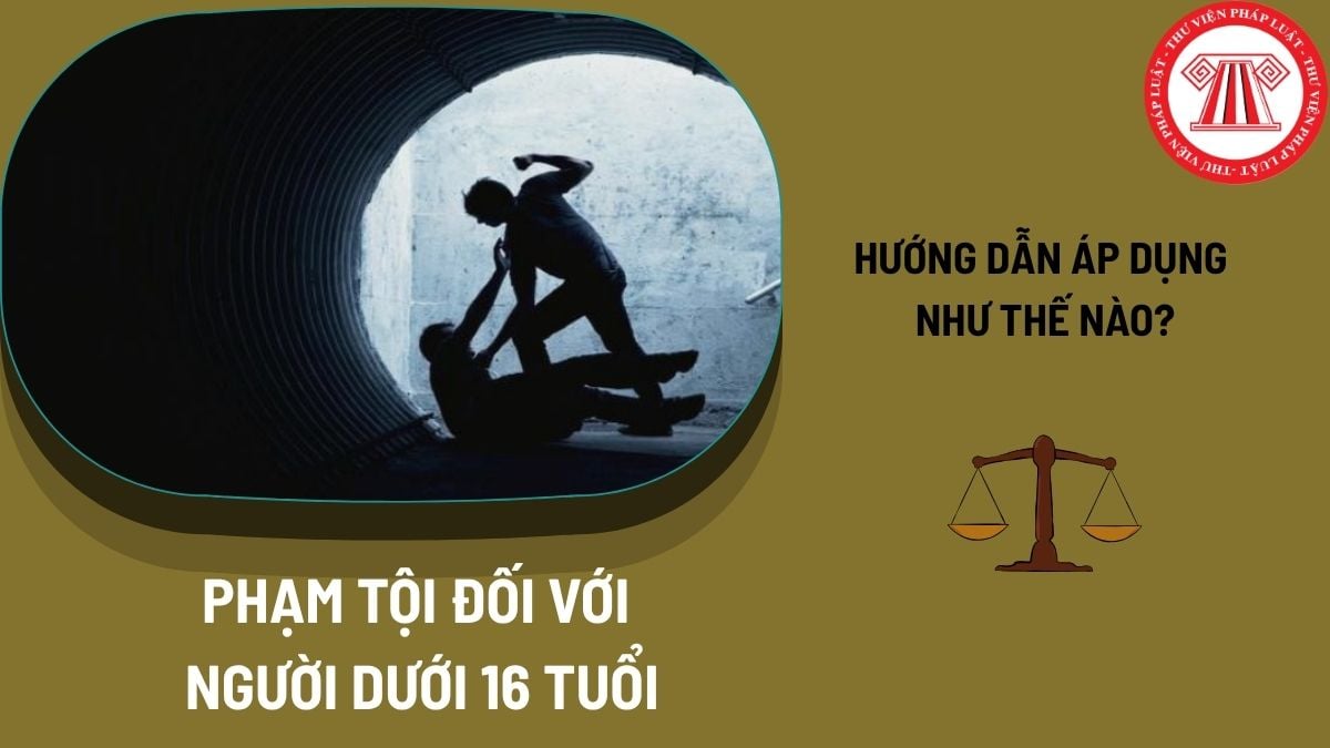 Pháp luật