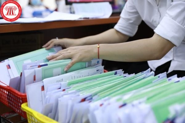 Pháp luật