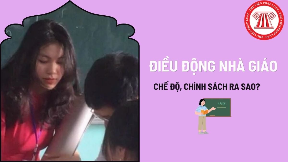 Pháp luật