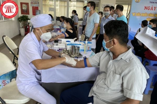 Pháp luật
