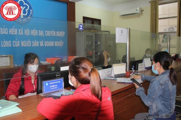 Pháp luật