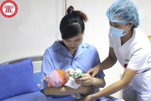 Pháp luật