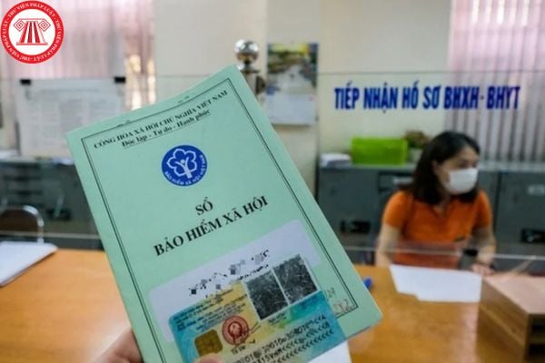 Pháp luật