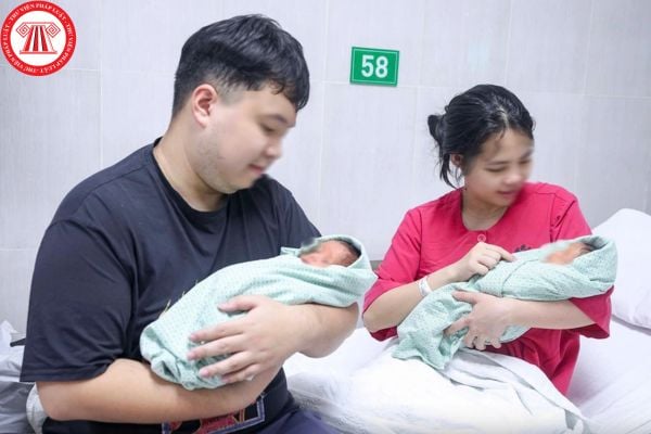 Pháp luật