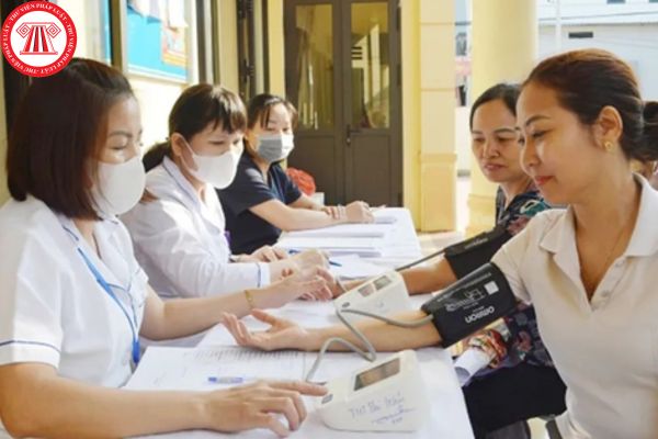 Pháp luật