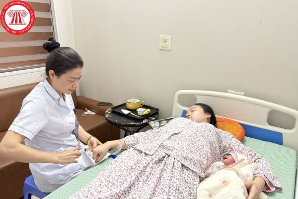 Pháp luật
