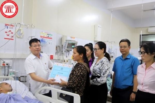 Pháp luật