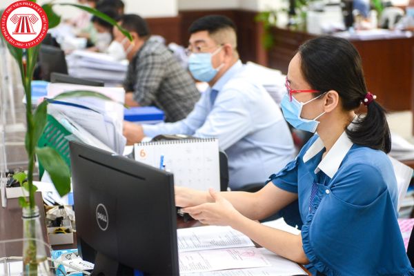 Pháp luật