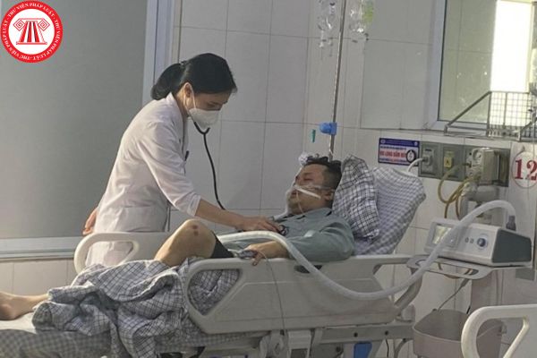 Pháp luật