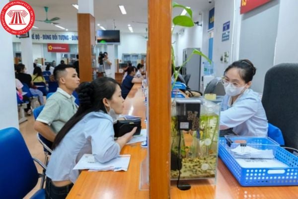 Pháp luật