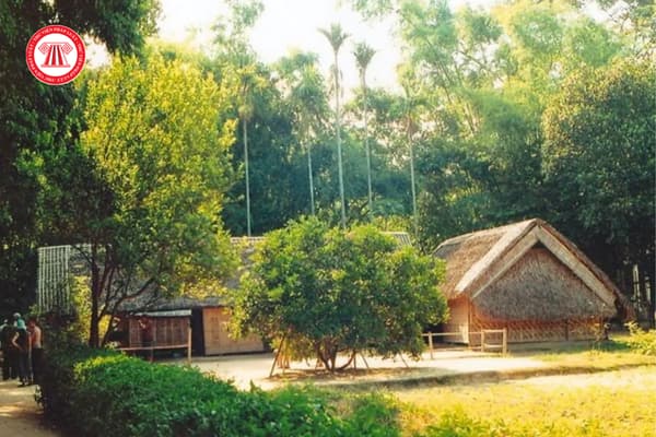 Pháp luật