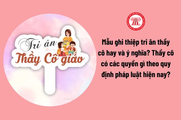 Pháp luật