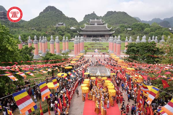 Pháp luật