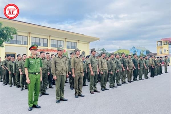 Pháp luật