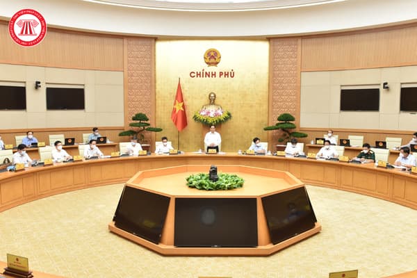 Pháp luật