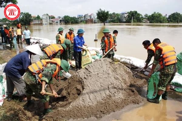 Pháp luật