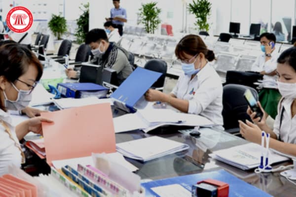 Pháp luật