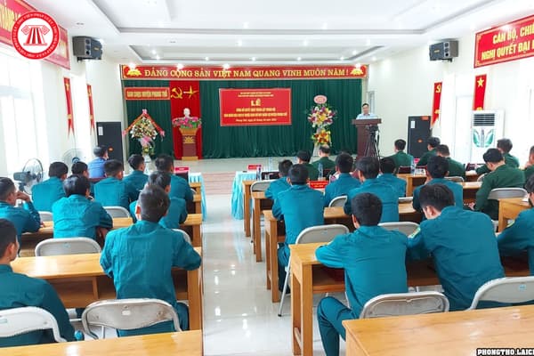 Pháp luật