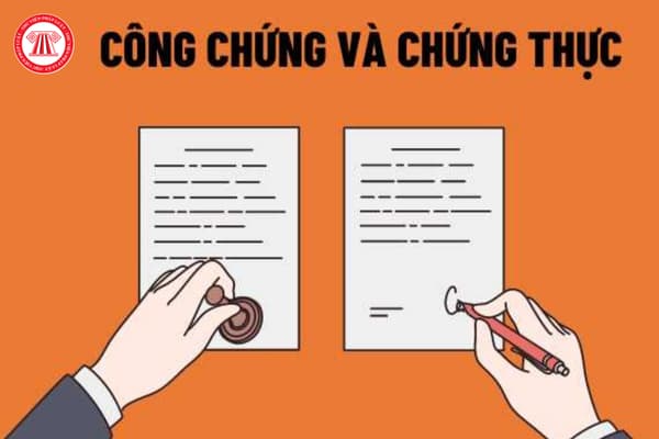 Pháp luật