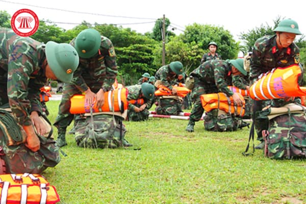 Pháp luật